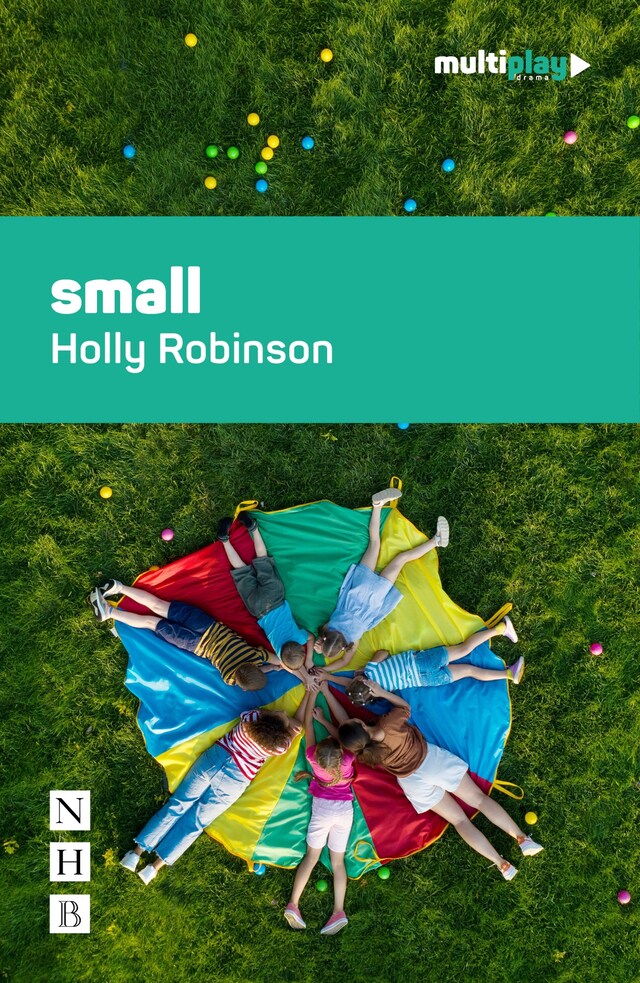 Boekomslag van small (NHB Modern Plays)