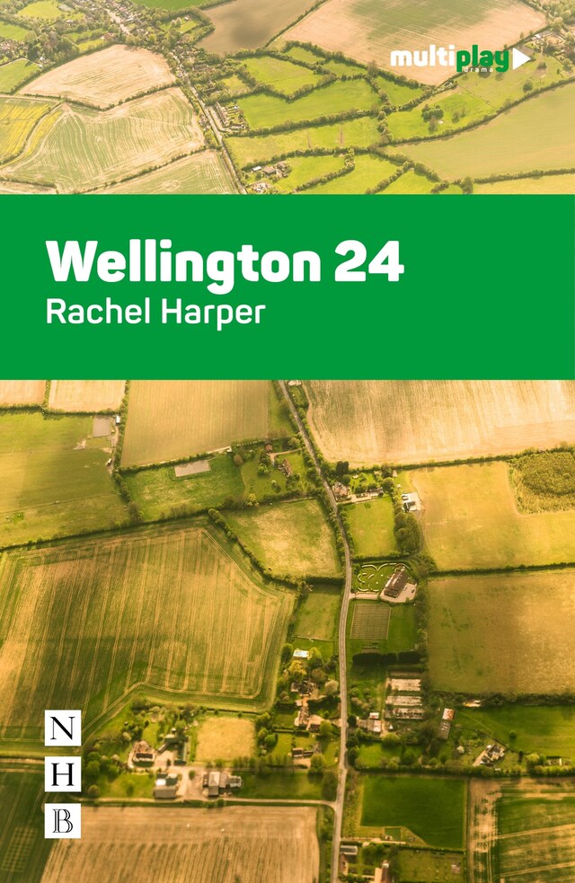 Portada de libro para Wellington 24 (NHB Modern Plays)