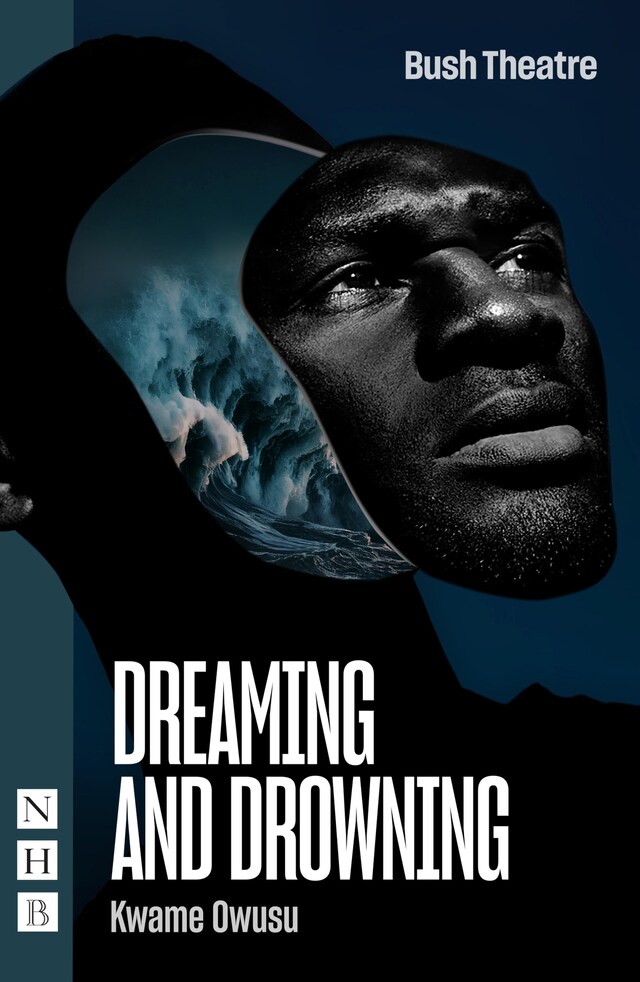 Okładka książki dla Dreaming and Drowning (NHB Modern Plays)