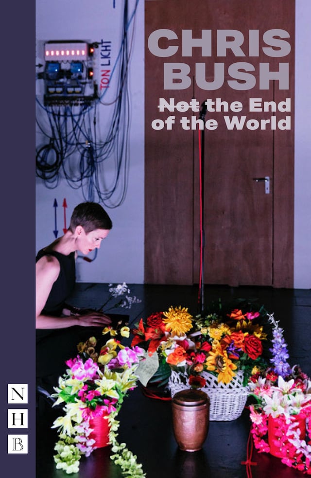 Book cover for (Not) the End of the World (NHB Modern Plays)