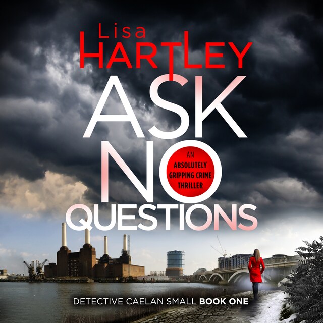Book cover for Ask No Questions