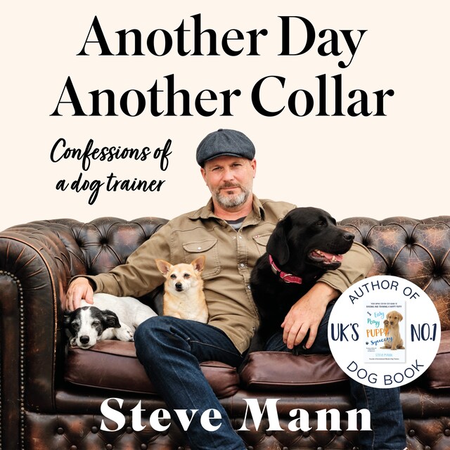 Book cover for Another Day, Another Collar