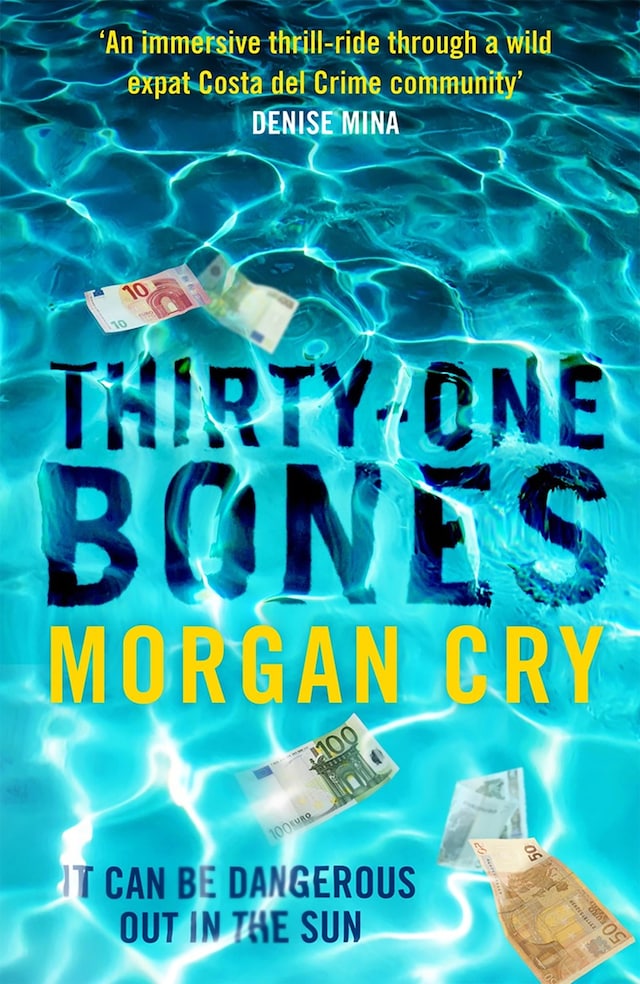 Book cover for Thirty-One Bones
