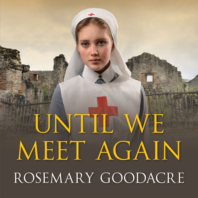 Book cover for Until We Meet Again