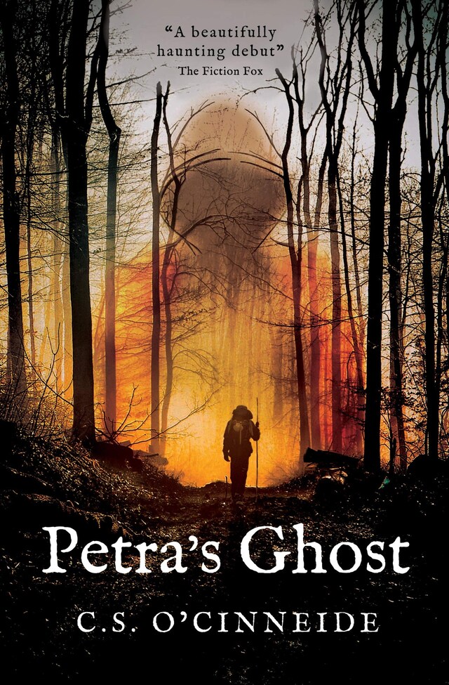 Book cover for Petra's Ghost