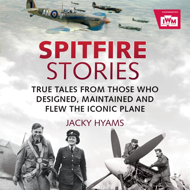 Buchcover für Spitfire Stories