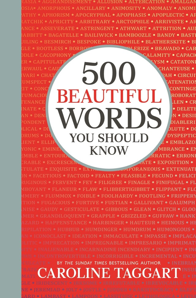 Book cover for 500 Beautiful Words You Should Know