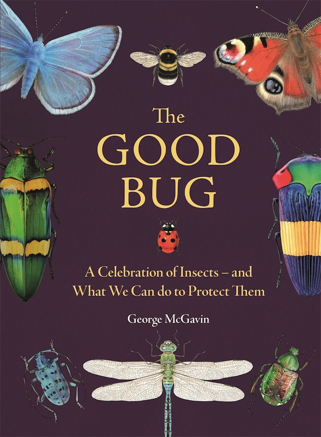 Book cover for The Good Bug