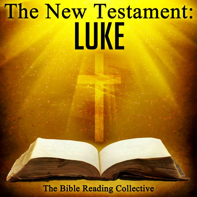 Boekomslag van The New Testament: Luke