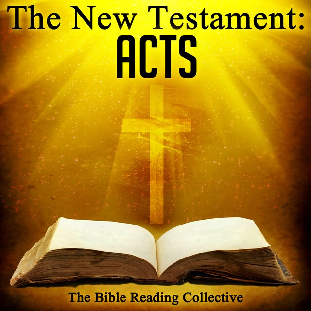 Copertina del libro per The New Testament: Acts