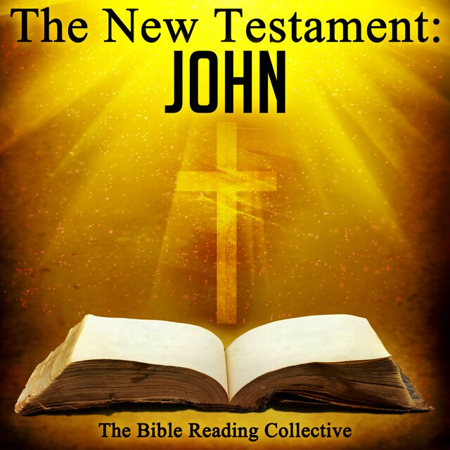 Book cover for The New Testament: John