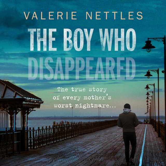 Book cover for The Boy Who Disappeared
