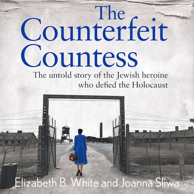 Buchcover für Counterfeit Countess, The