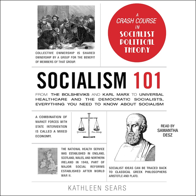 Socialism 101