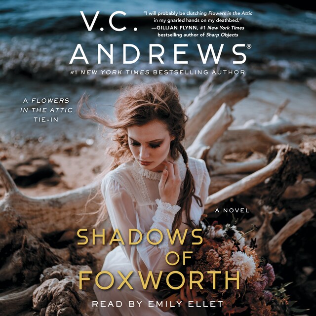 Shadows of Foxworth Book cover for Shadows of Foxworth