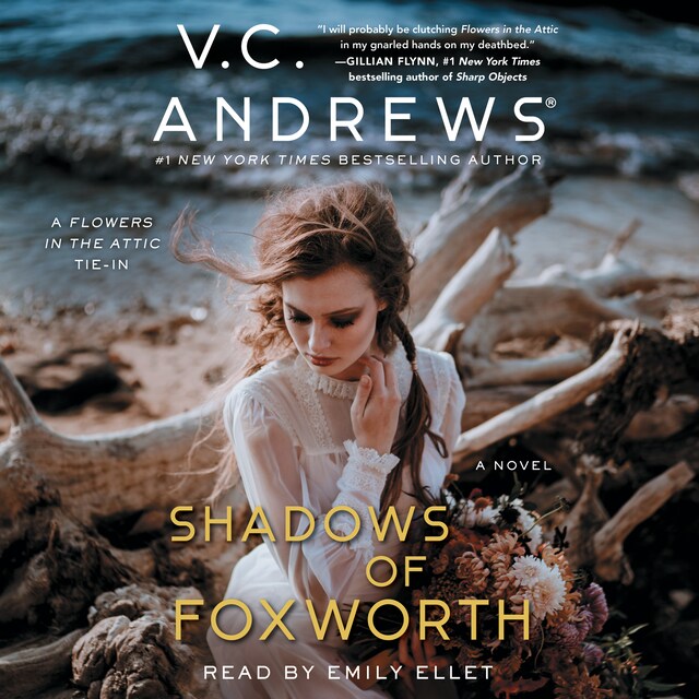 Book cover for Shadows of Foxworth