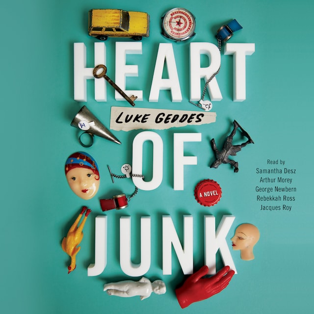 Book cover for Heart of Junk