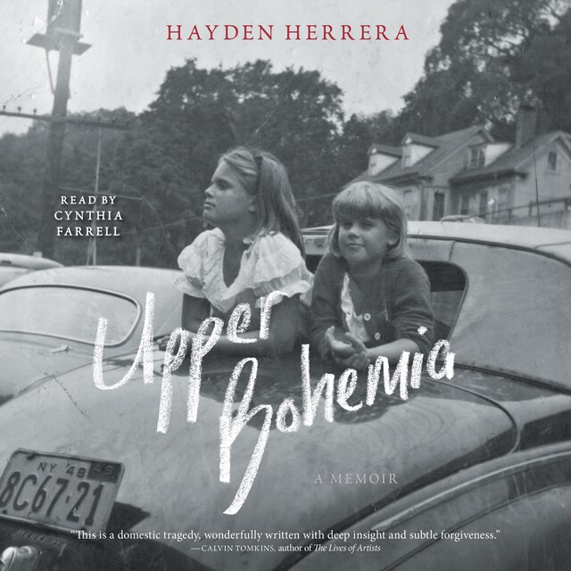 Book cover for Upper Bohemia