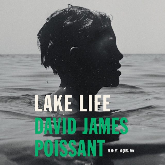Book cover for Lake Life