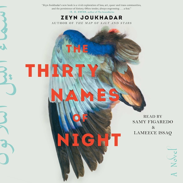 Book cover for The Thirty Names of Night