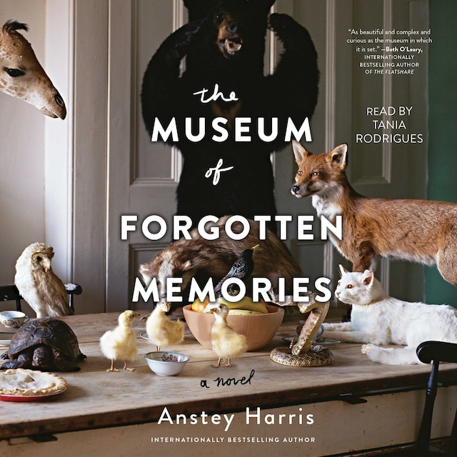 Book cover for The Museum of Forgotten Memories