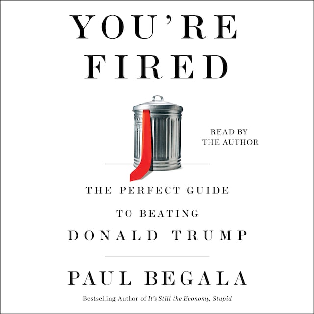 Book cover for You're Fired
