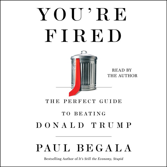 Book cover for You're Fired