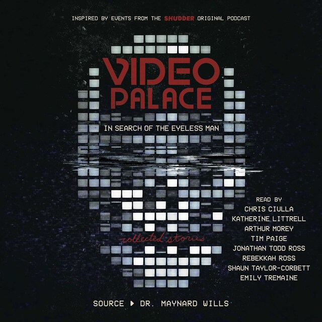 Copertina del libro per Video Palace: In Search of the Eyeless Man