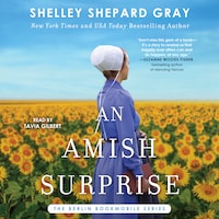 An Amish Surprise
