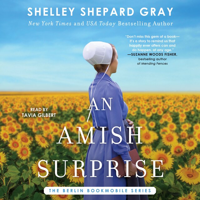 Book cover for An Amish Surprise