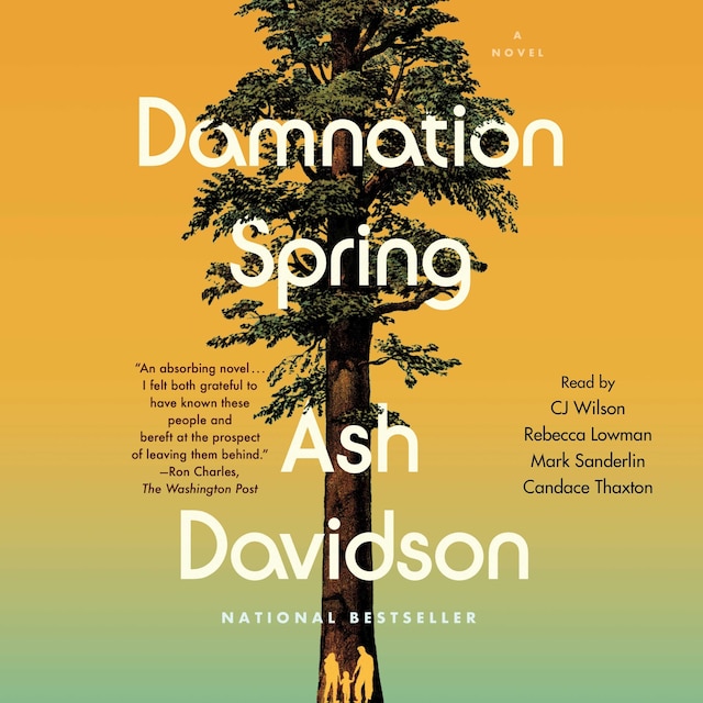 Kirjankansi teokselle Damnation Spring