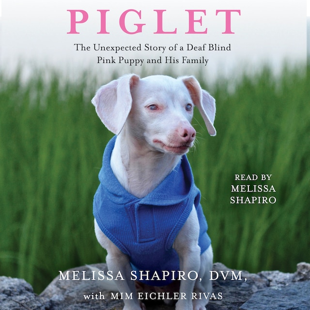 Book cover for Piglet