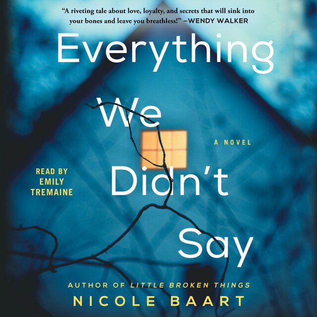 Couverture de livre pour Everything We Didn't Say