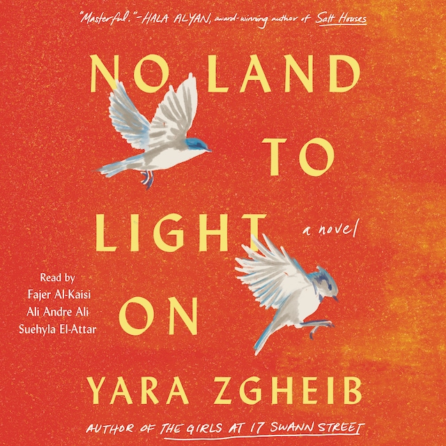 Book cover for No Land to Light On