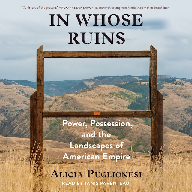 Book cover for In Whose Ruins
