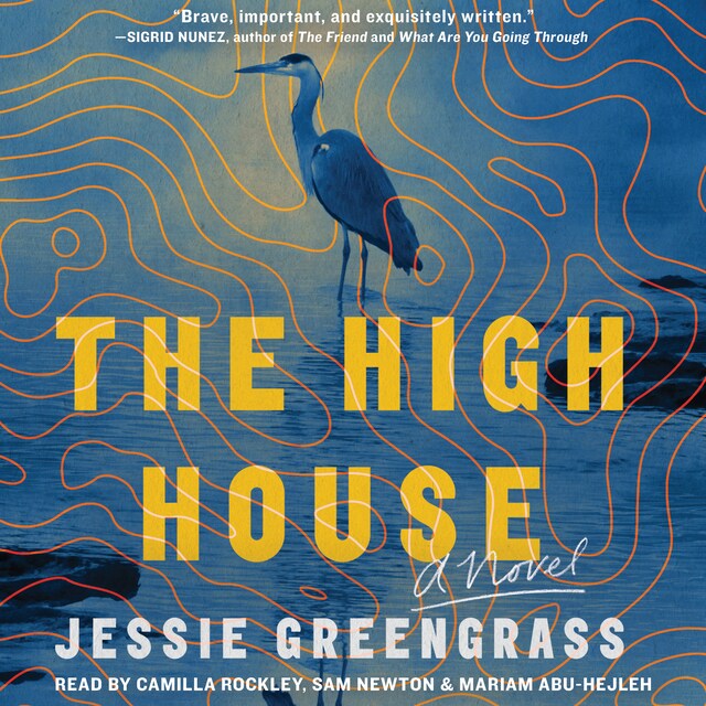 Book cover for The High House