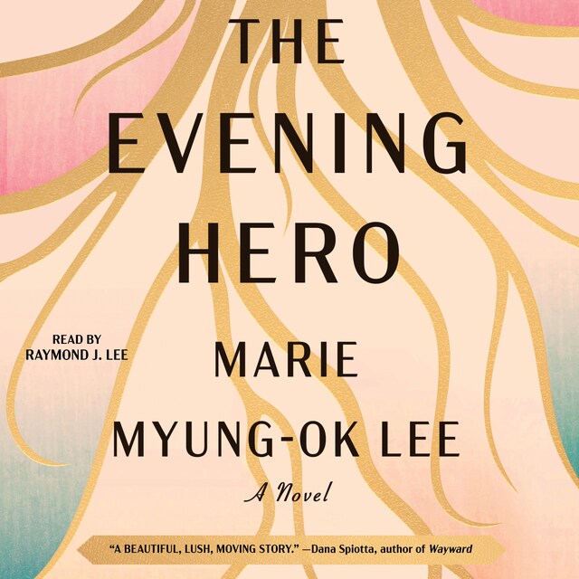 Book cover for Evening Hero