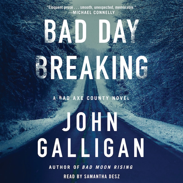 Book cover for Bad Day Breaking