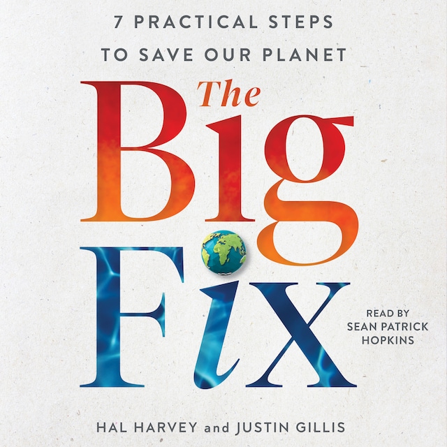 Book cover for The Big Fix