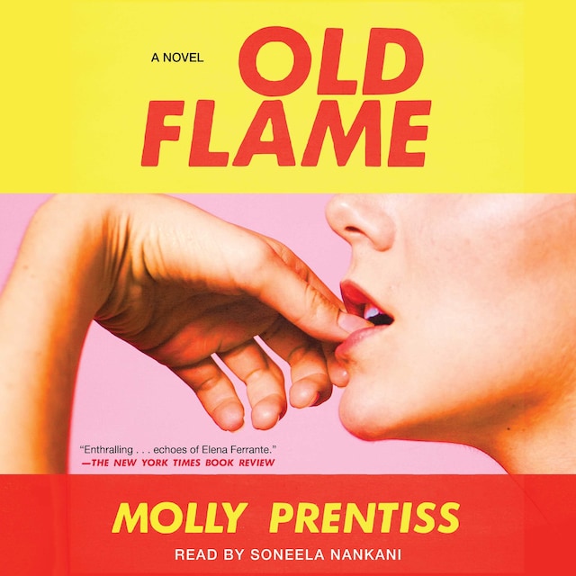 Book cover for Old Flame