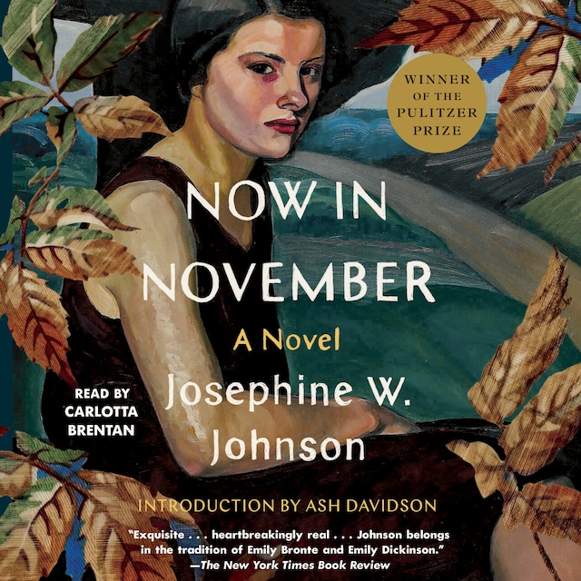 Book cover for Now in November