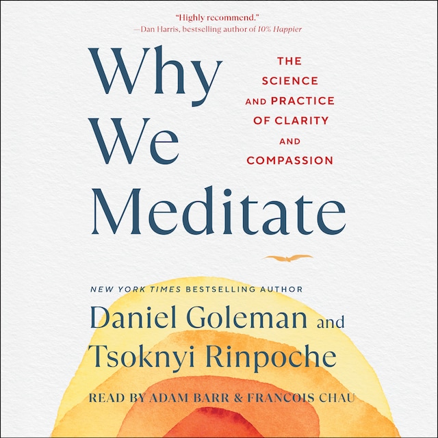 Book cover for Why We Meditate