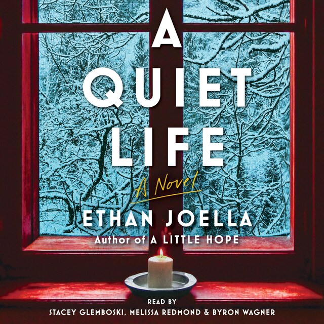 Book cover for A Quiet Life