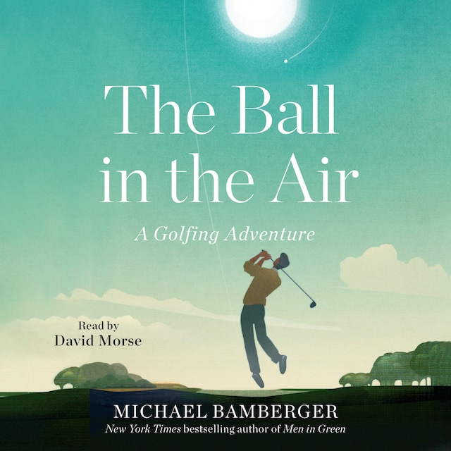 Book cover for The Ball in the Air
