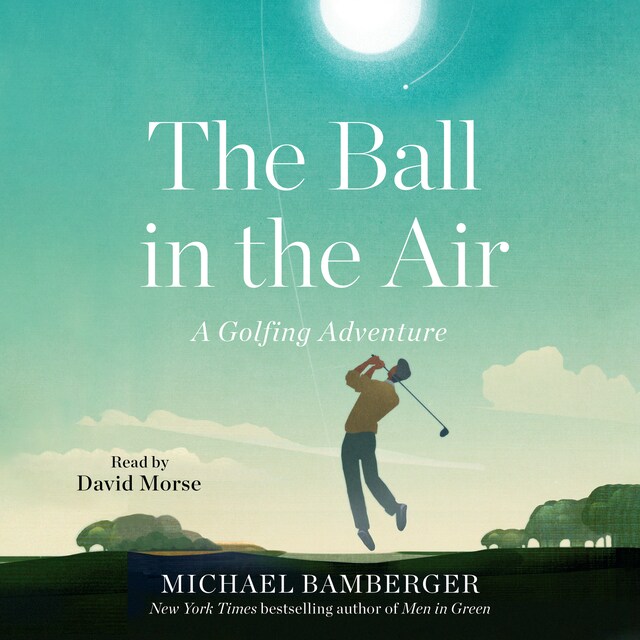 Portada de libro para The Ball in the Air