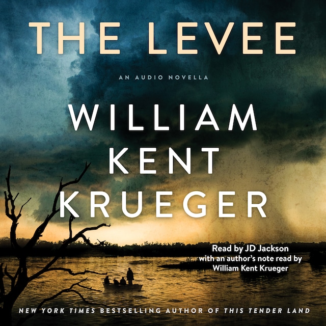 Book cover for The Levee