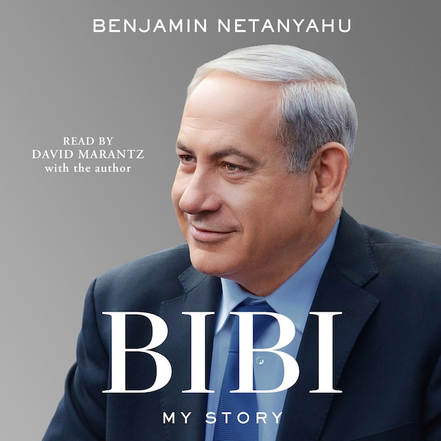 Book cover for Bibi