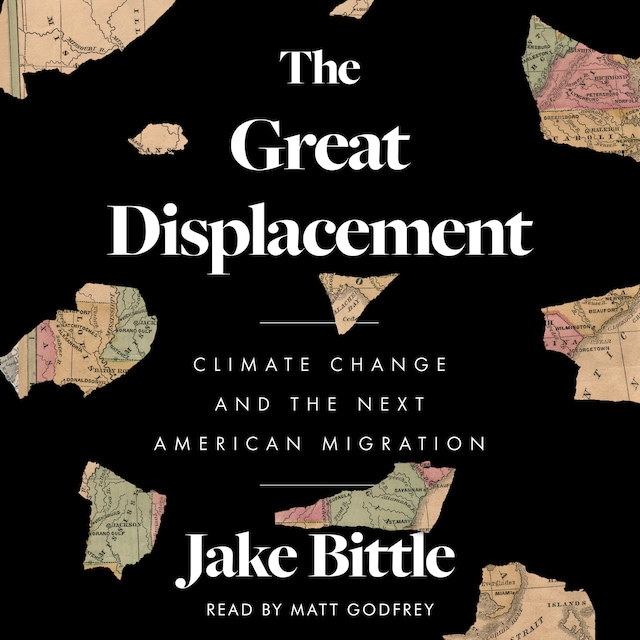 Book cover for The Great Displacement