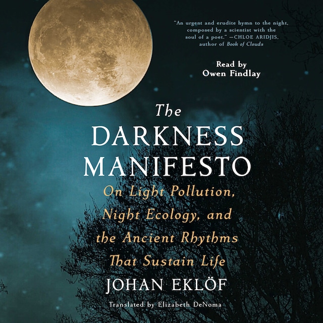 Buchcover für The Darkness Manifesto