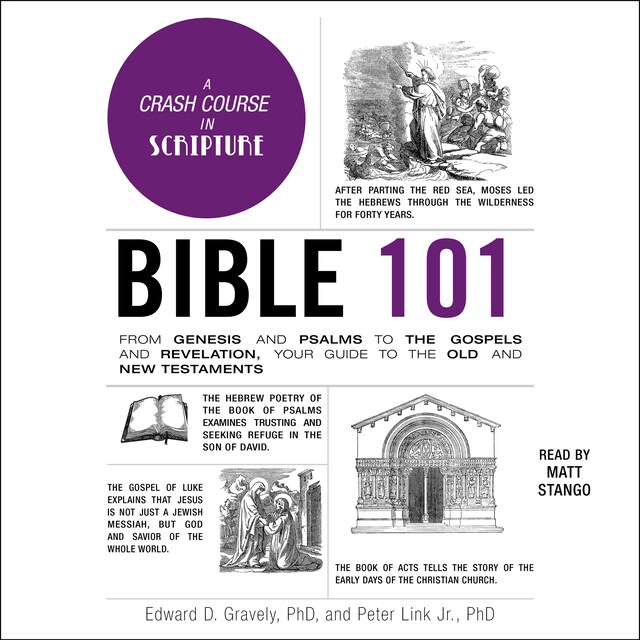 Couverture de livre pour Bible 101